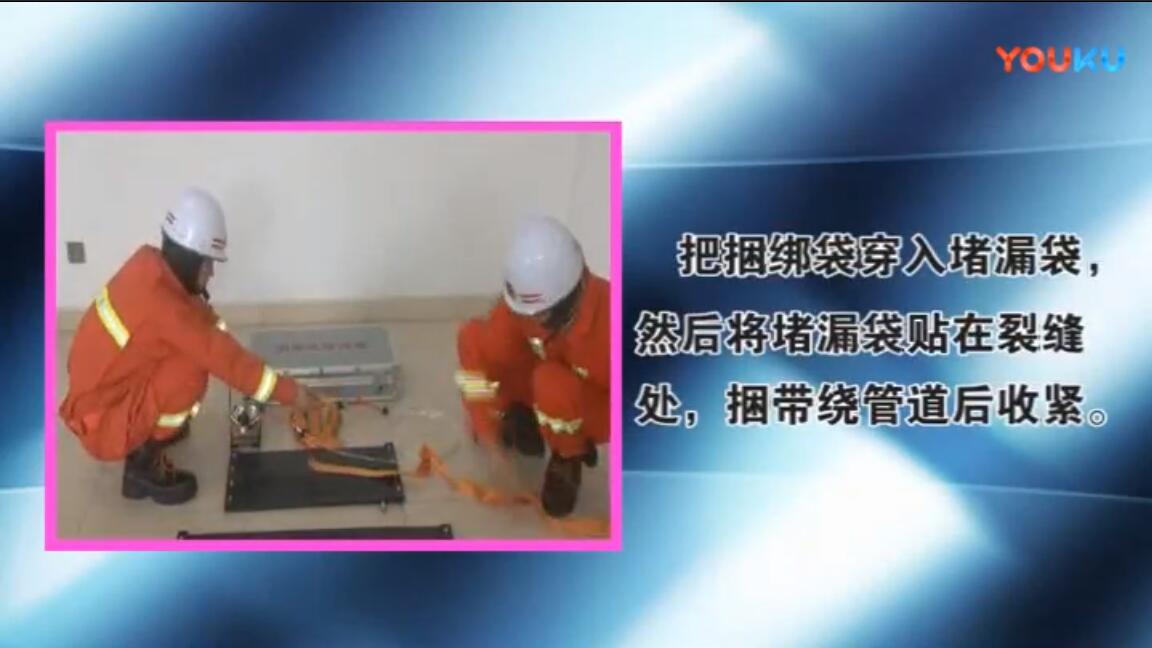 描述